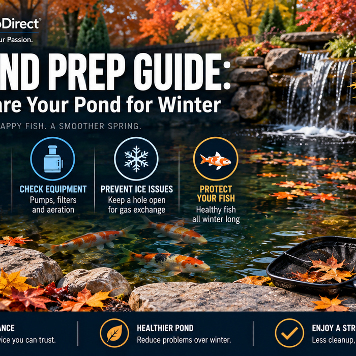 Fall Pond Prep Guide: How to Prepare Your Pond for Winter