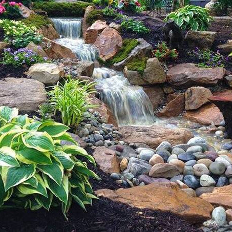 How to Build a Backyard Pond: The Complete Step-by-Step Guide