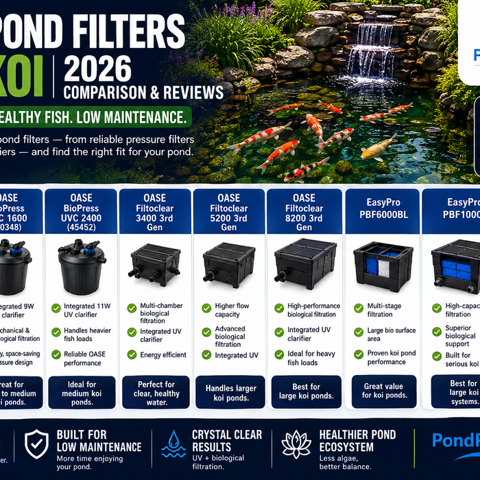Best Pond Filters for Koi: 2026 Comparison & Reviews