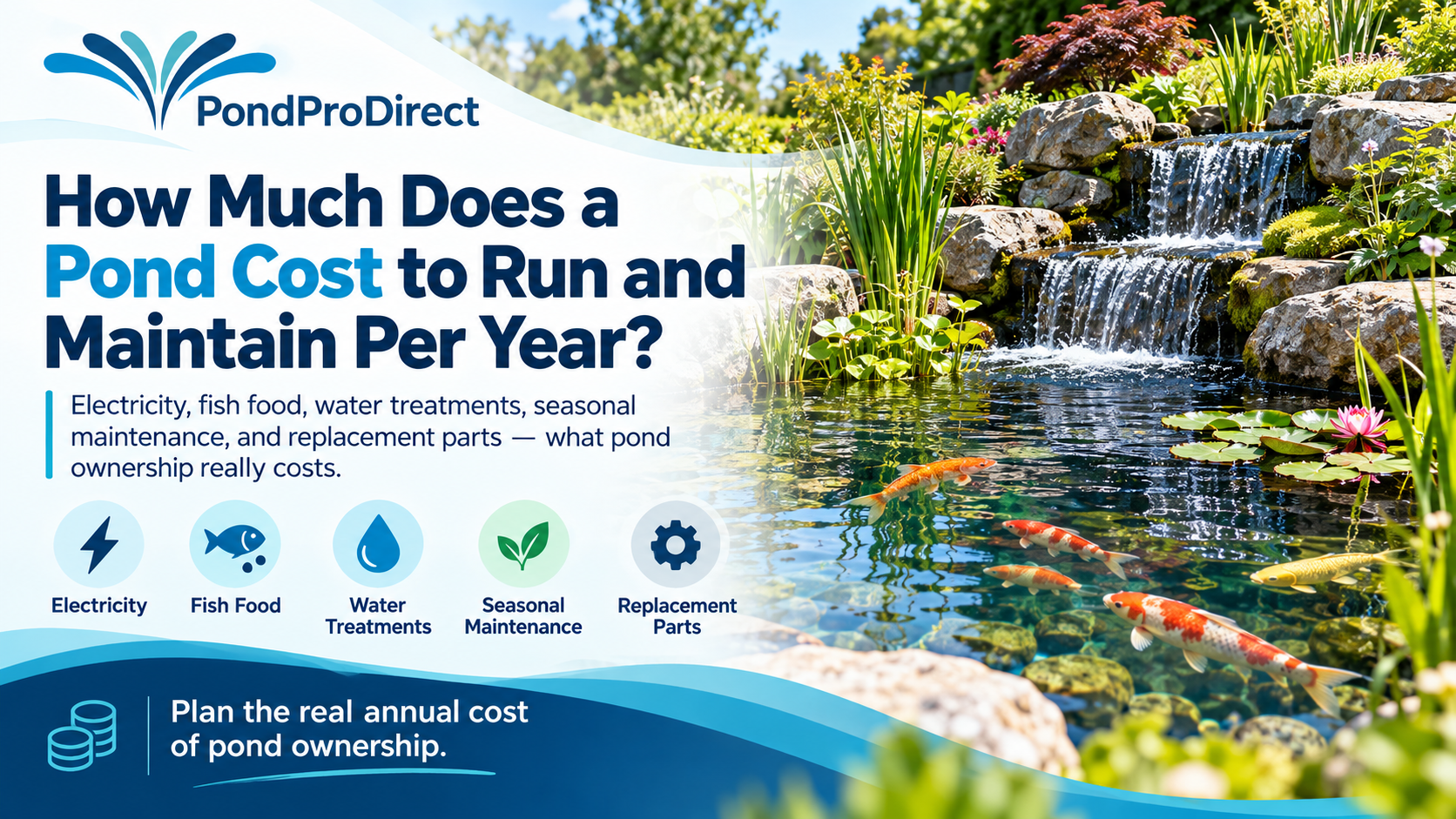How Much Does a Pond Cost to Run and Maintain Per Year?