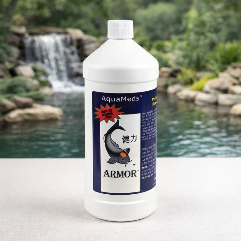 Pond Water Treatments & Maintenance: Algae, Sludge & Clarity