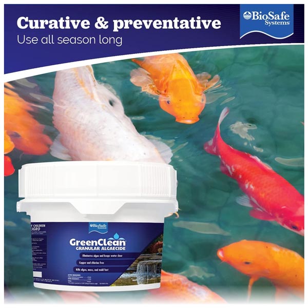 BioSafe GreenClean Granular Algaecide – 8 lbs