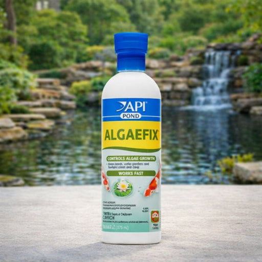 API Pond AlgaeFix – 16 oz