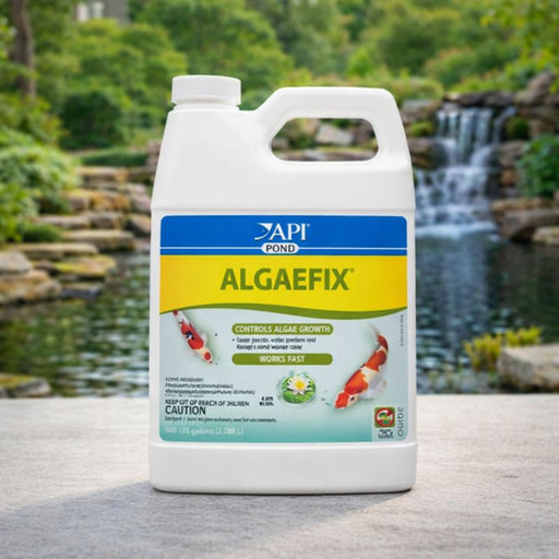 API Pond AlgaeFix – 1 Gallon