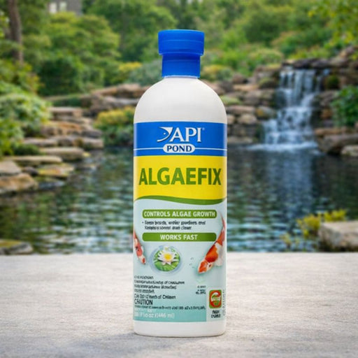 API Pond AlgaeFix – 32 oz