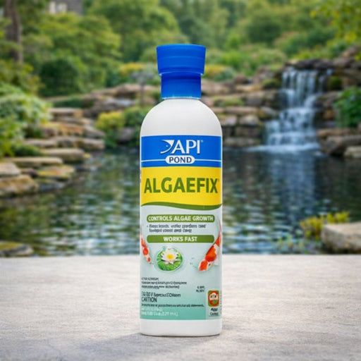 API Pond AlgaeFix – 8 oz