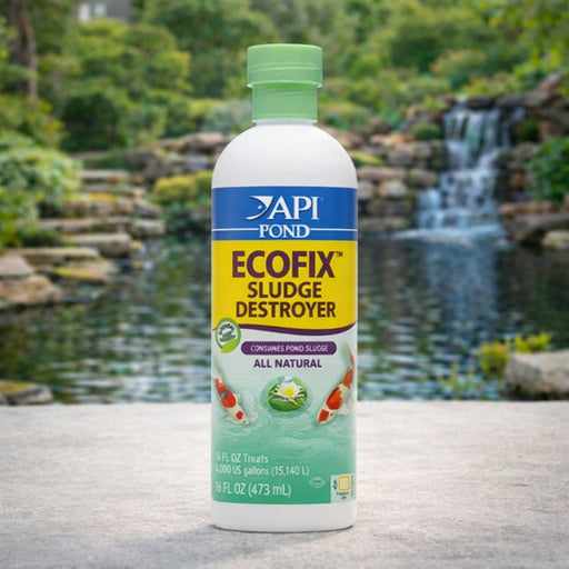 API Pond EcoFix – 16 oz (Natural Sludge Reducer & Water Clarifier)
