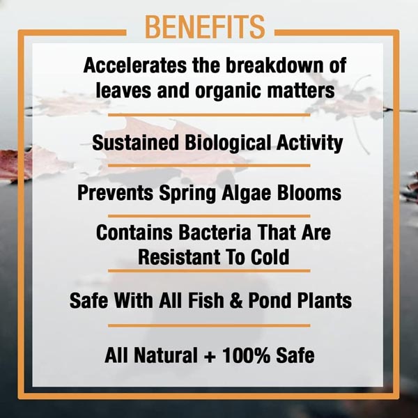 Microbe-Lift Autumn / Winter Prep – Quart | Cold Weather Pond Bacteria