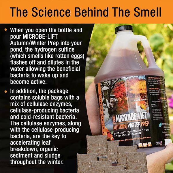 Microbe-Lift Autumn / Winter Prep – Quart | Cold Weather Pond Bacteria