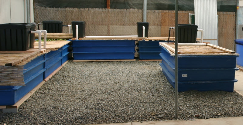 Matala BioSteps Premium Kit – Multi-Stage Pond Filter System for Ponds up to 2,000 Gallons