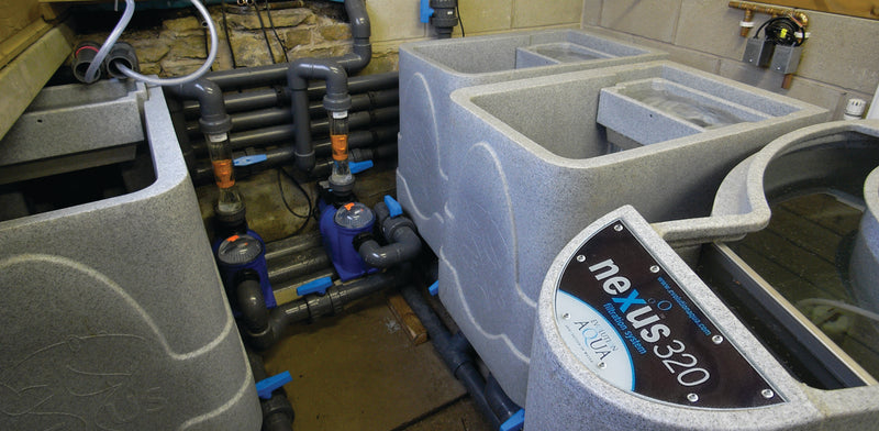 Evolution Aqua Cetus Sieve – Gravity Fed Pond Pre-Filter