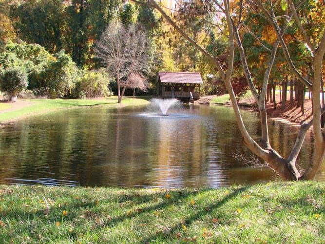 Scott Aerator DA-20 Pond Aerator – 1/2 HP, 230V, 200' Cord