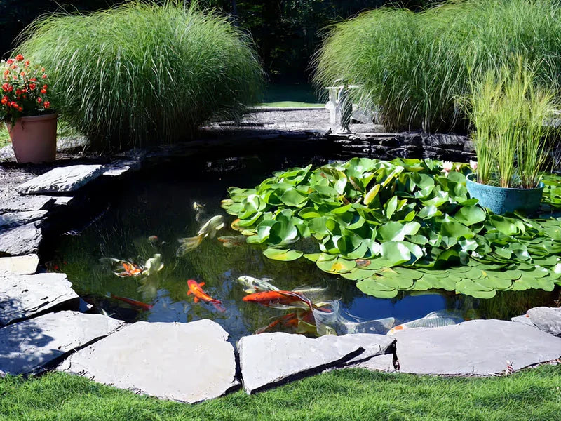 EasyPro EL2424 Pro-Series 24' x 24' Large Pond Kit – Complete Koi Ecosystem System