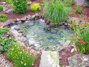 EasyPro ET811FB Pro-Series 8' x 11' Mini Pond Kit – Complete Koi Ecosystem System with Skimmer & BioFalls
