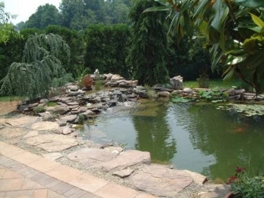 EasyPro EL2424 Pro-Series 24' x 24' Large Pond Kit – Complete Koi Ecosystem System