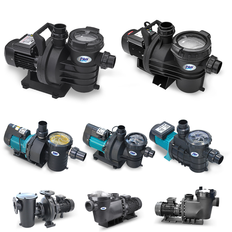 Circulation Pump 110V 220v 2.5 hp 3hp Pump Pond Water Pumps