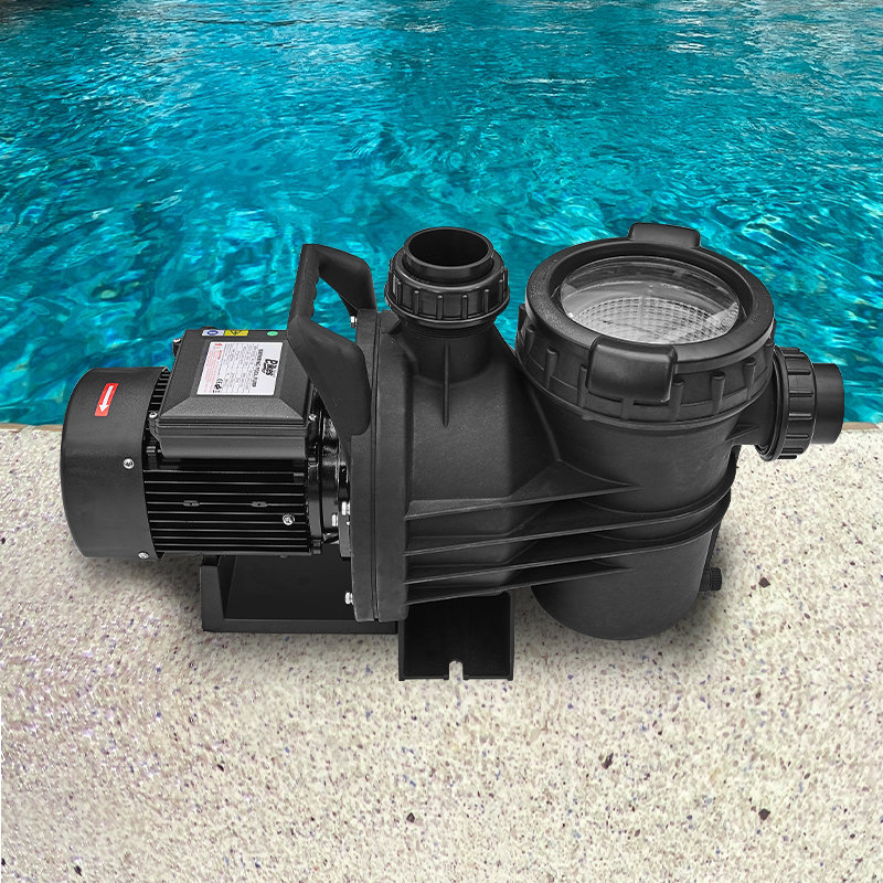 Circulation Pump 110V 220v 2.5 hp 3hp Pump Pond Water Pumps