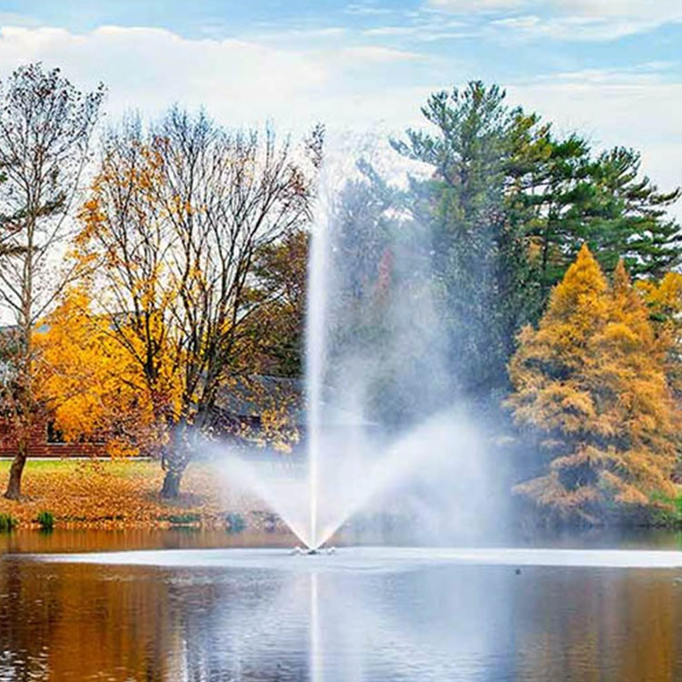 Fenlin Factory Outdoor Garden Lake Pond Decoration Rgb Led Light Stainless Steel Floating  Fountain