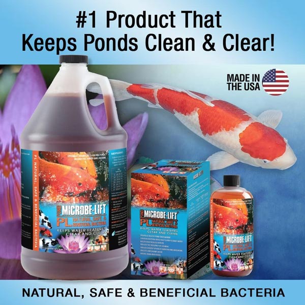 Microbe-Lift PL – 1 Gallon (Beneficial Bacteria for Ponds)