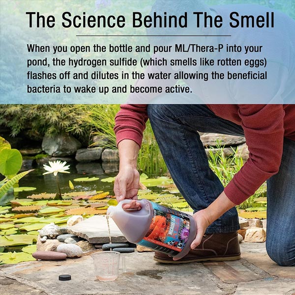 Microbe-Lift PL – 1 Gallon (Beneficial Bacteria for Ponds)