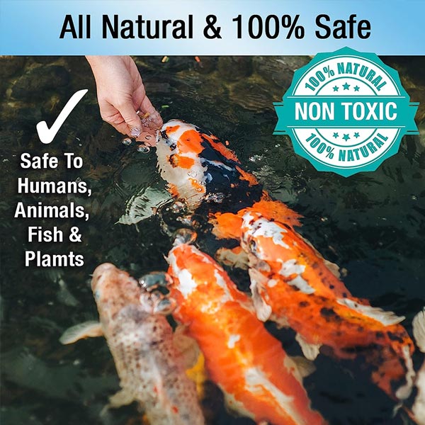 Microbe-Lift PL – 1 Gallon (Beneficial Bacteria for Ponds)