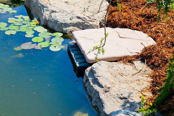 Blue Thumb Medium Elite Skimmer Box with Natural Lid – 10"