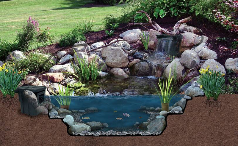 Atlantic Big Bahama Skimmer with 9" Weir