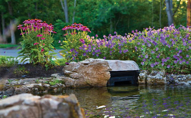 Atlantic Big Bahama Skimmer with 9" Weir