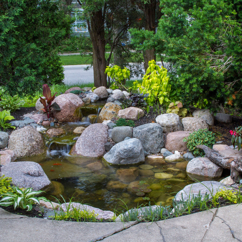 Aquascape Small Pond Kit 8' × 11' with AquaSurge 3000 Pump (53033)