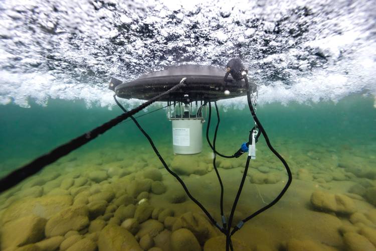 Kasco 2400AF 1/2 HP Surface Aerator – 200 ft Cord with Float & Screen