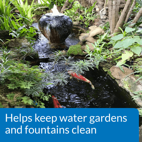 API Pond AlgaeFix – 1 Gallon