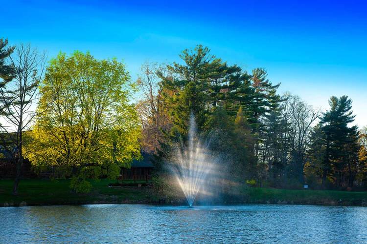 Scott Aerator Amherst Fountain – 1 HP, 230V, 200' Cord