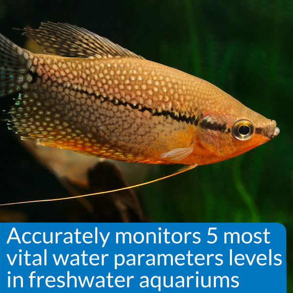 API Freshwater Master Test Kit – Complete Water Quality Testing Kit