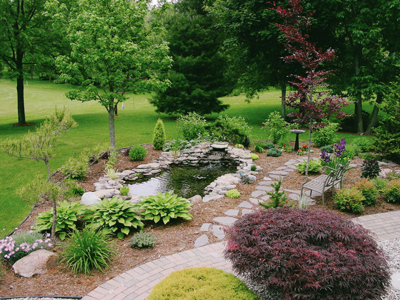 Blue Thumb DIY Pond Kit - Thumbnail 2