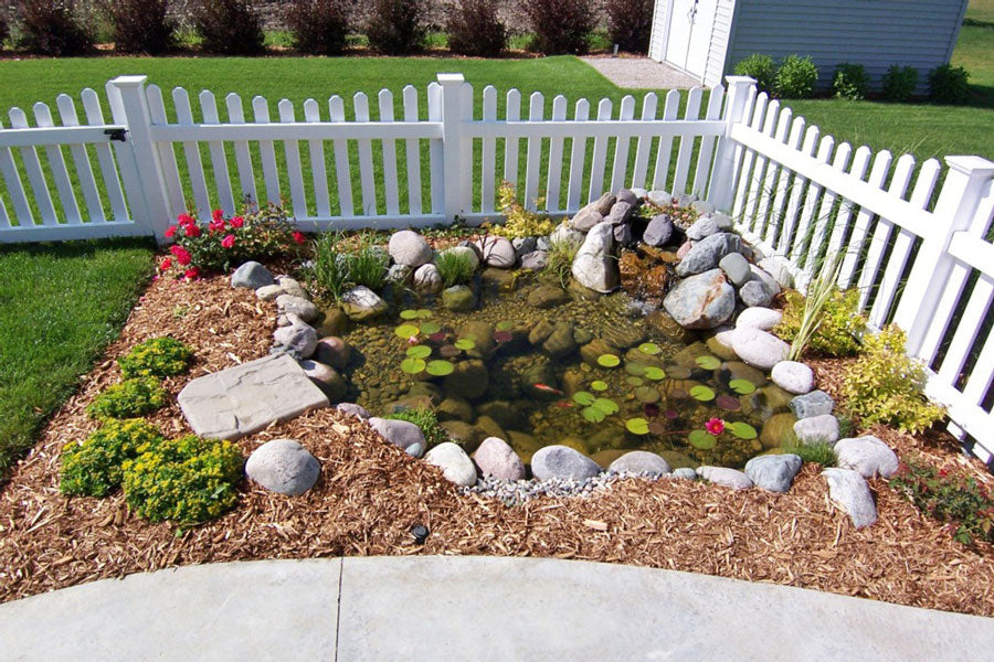 Blue Thumb DIY Pond Kit - Thumbnail 5