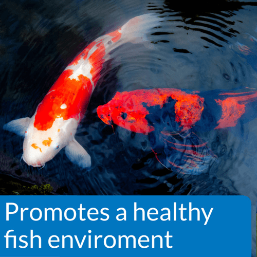 API Pond EcoFix – 16 oz (Natural Sludge Reducer & Water Clarifier)