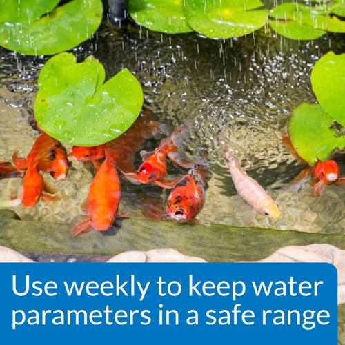 API Pond Master Liquid Test Kit – Complete Pond Water Testing Kit