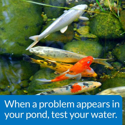 API Pond Master Liquid Test Kit – Complete Pond Water Testing Kit
